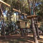 parc aventure rome parcours arbres_BeyondRoma