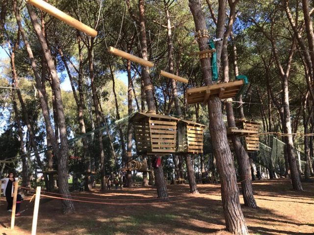 parc aventure rome parcours arbres_BeyondRoma