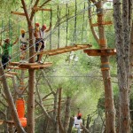 parc aventure rome team building_BeyondRoma