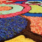 Castelli infiorata albano_BeyondRoma