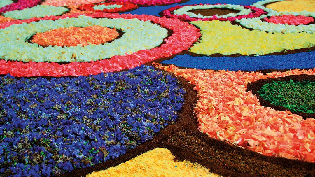 Castelli infiorata albano_BeyondRoma