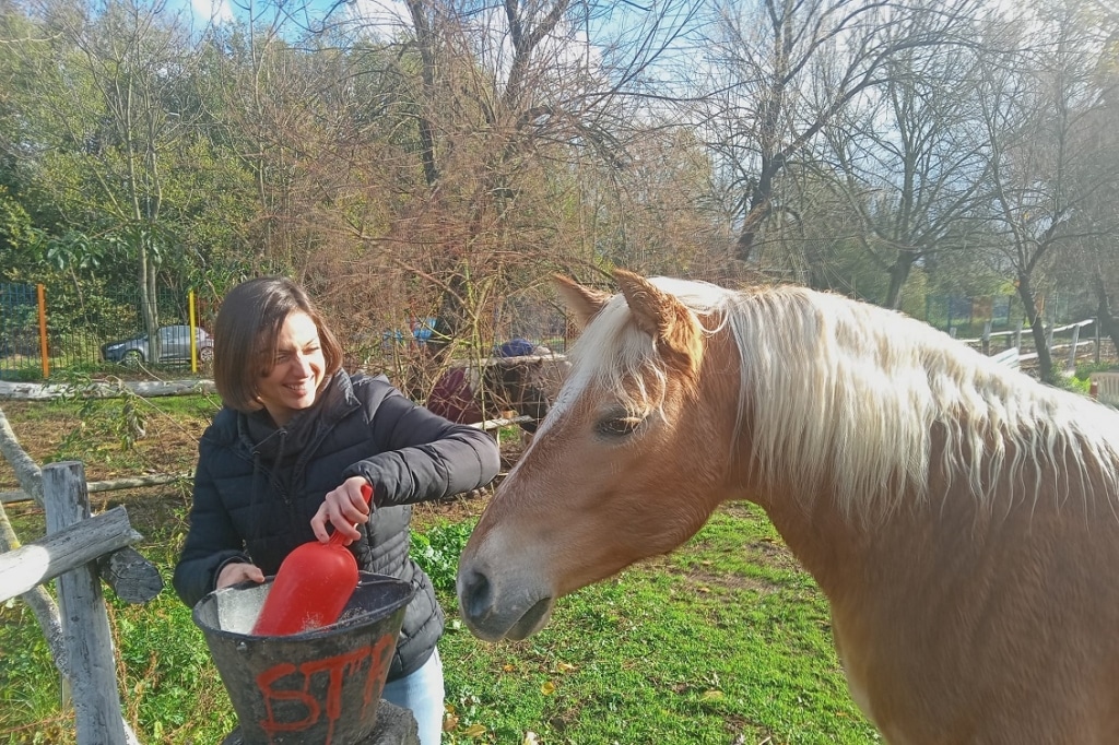 balade-cheval