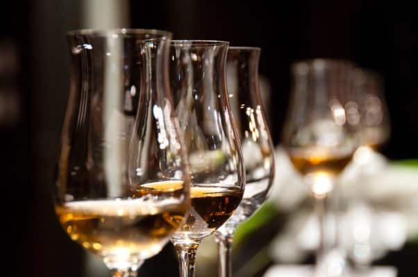 degustation-de-vin