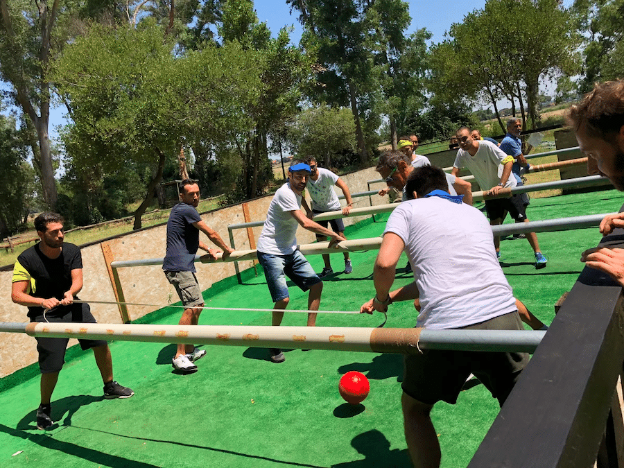 parc-aventure-team-building
